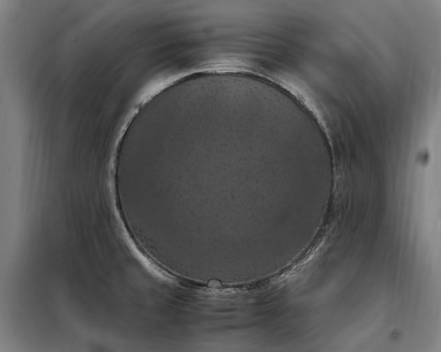 X0000098001429200804021021