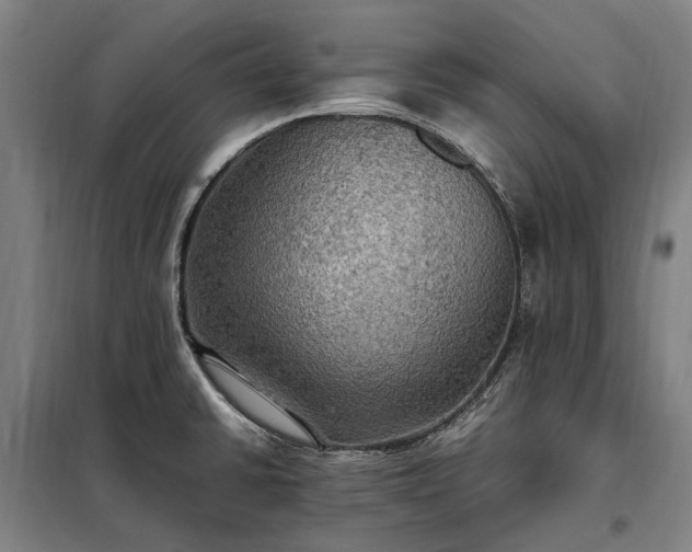 X0000098001430200804021021