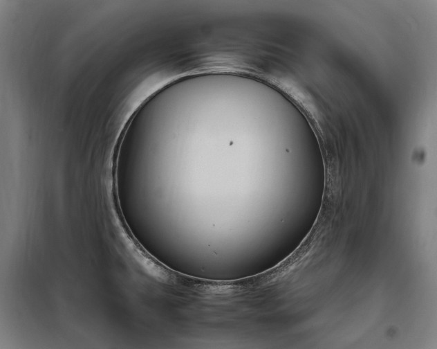 X0000098001431200804021021