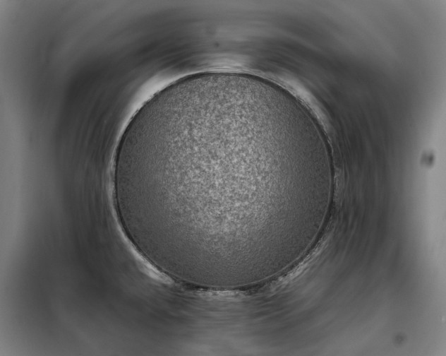 X0000098001432200804021021
