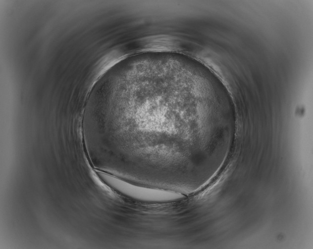 X0000098001433200804021021