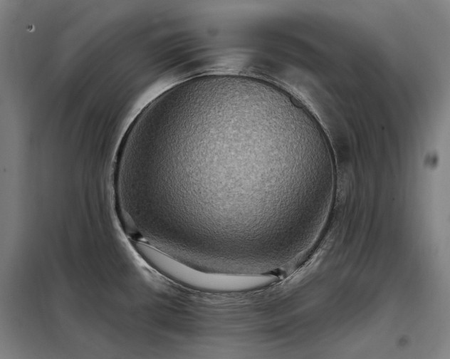 X0000098001434200804021021