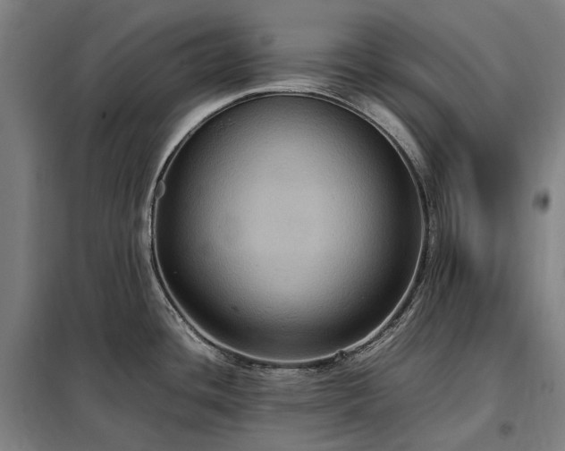 X0000098001436200804021021