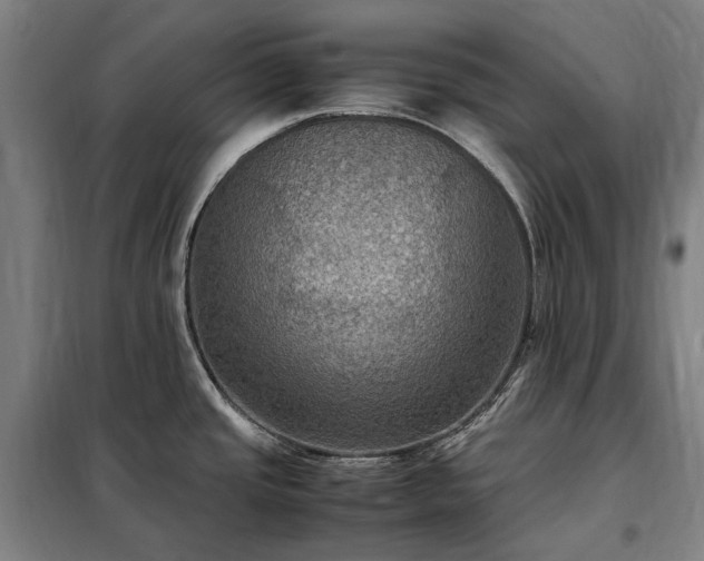 X0000098001437200804021021