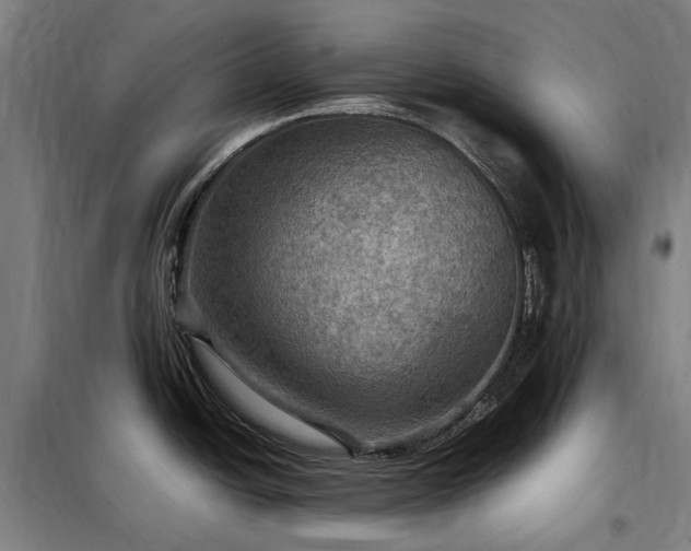 X0000098001438200804021021