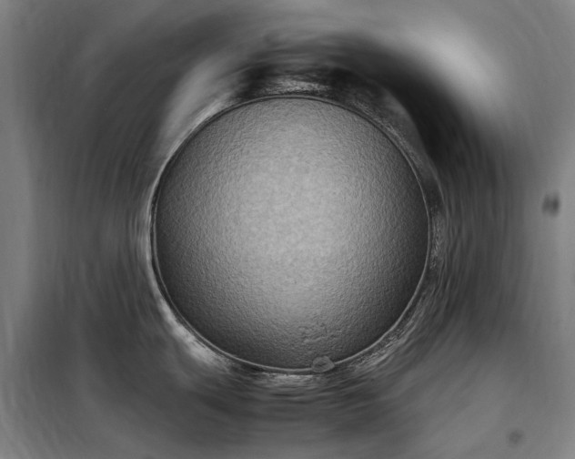 X0000098001439200804021021
