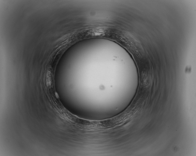 X0000098001442200804021020