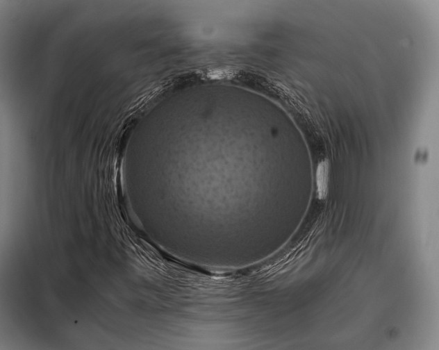 X0000098001443200804021020