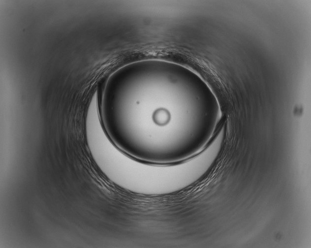 X0000098001444200804021020