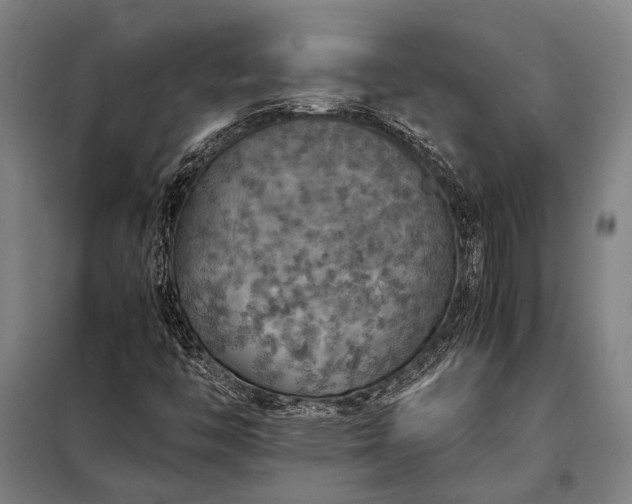 X0000098001446200804021020