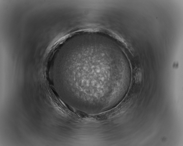 X0000098001448200804021020