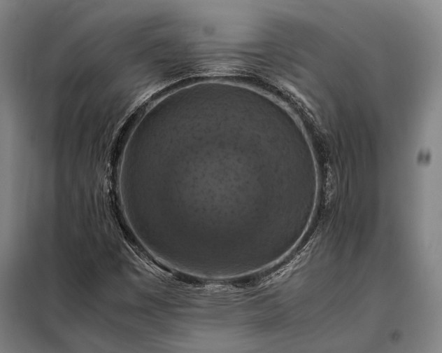 X0000098001449200804021020