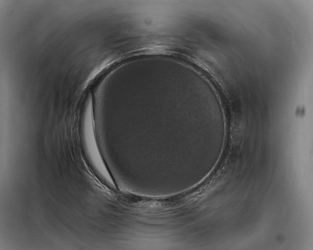 X0000098001450200804021020