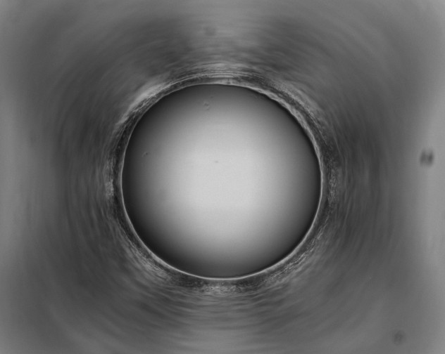 X0000098001451200804021020