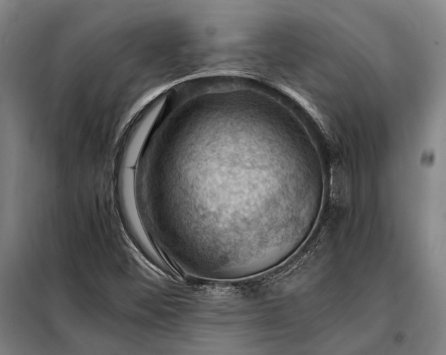 X0000098001452200804021020