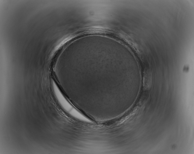 X0000098001453200804021020