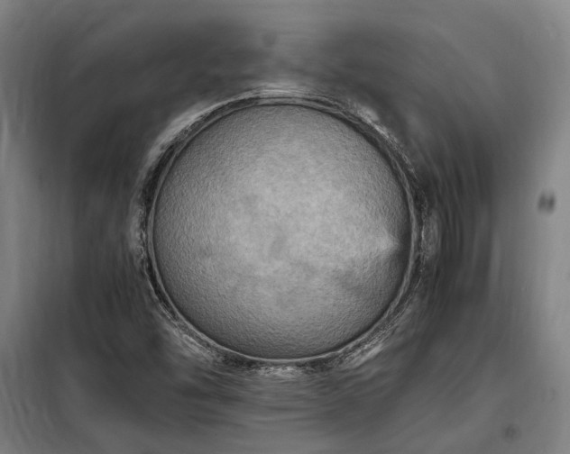 X0000098001454200804021020