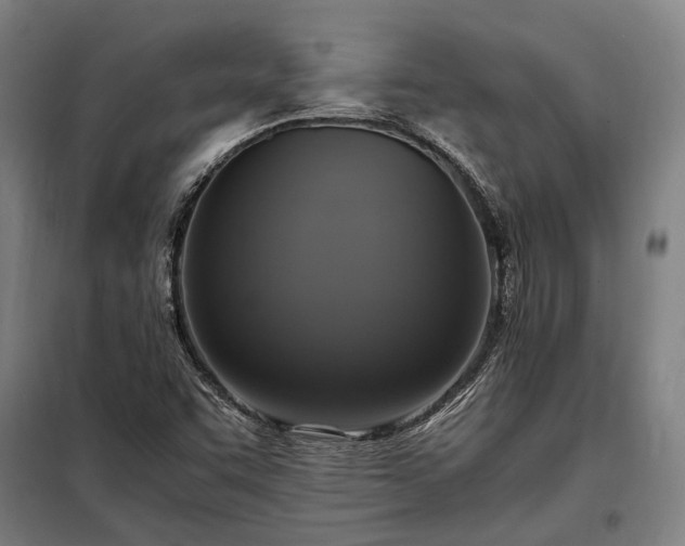 X0000098001455200804021020