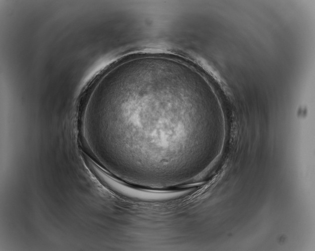 X0000098001456200804021020