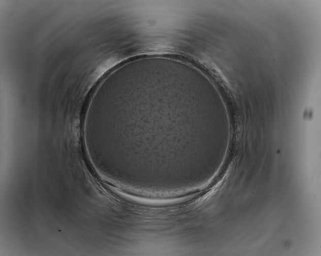 X0000098001457200804021020
