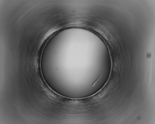 X0000098001458200804021020