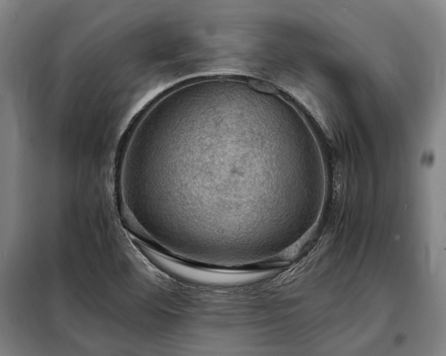 X0000098001460200804021020