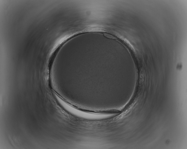 X0000098001461200804021020