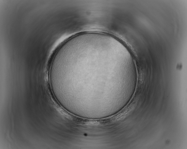 X0000098001462200804021020