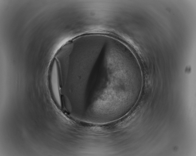 X0000098001463200804021020