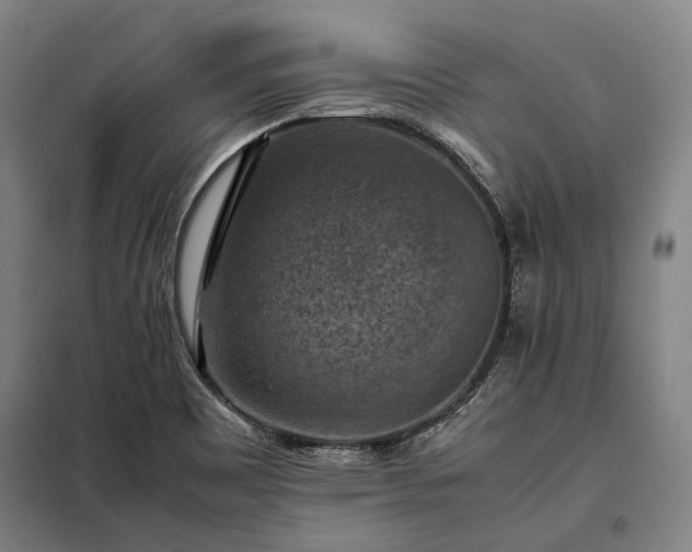X0000098001465200804021020
