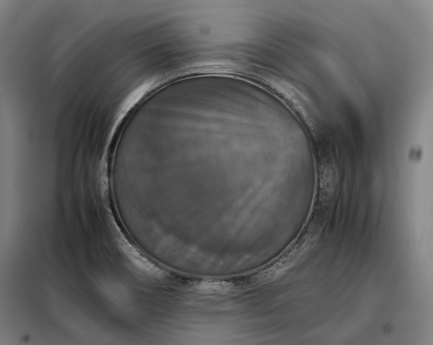 X0000098001466200804021020
