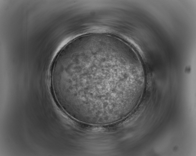 X0000098001467200804021020