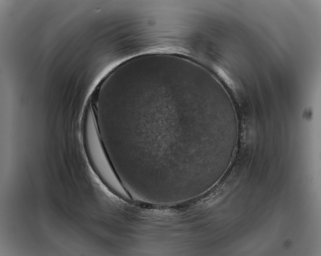 X0000098001468200804021020