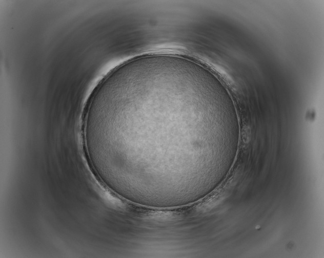 X0000098001470200804021020