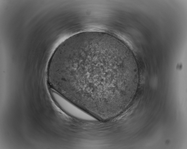 X0000098001471200804021020