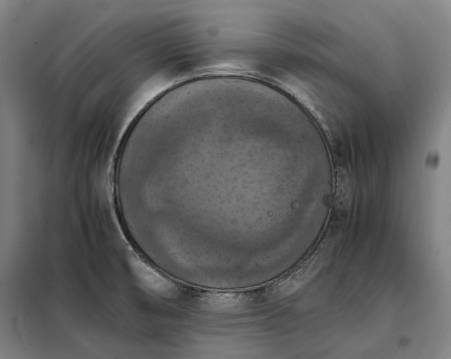 X0000098001474200804021020
