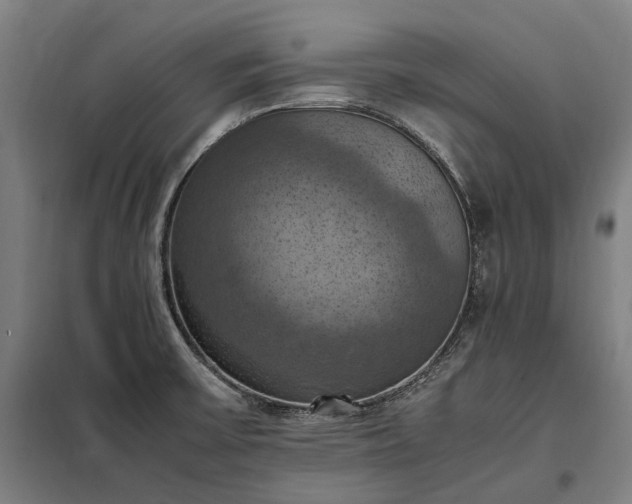 X0000098001475200804021020