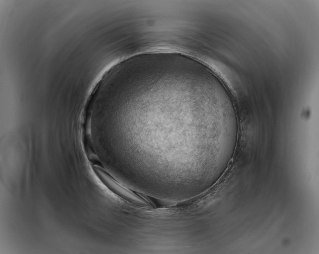 X0000098001476200804021020