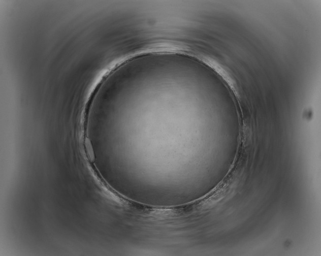 X0000098001477200804021020