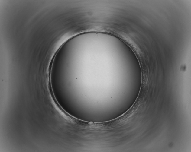X0000098001479200804021020