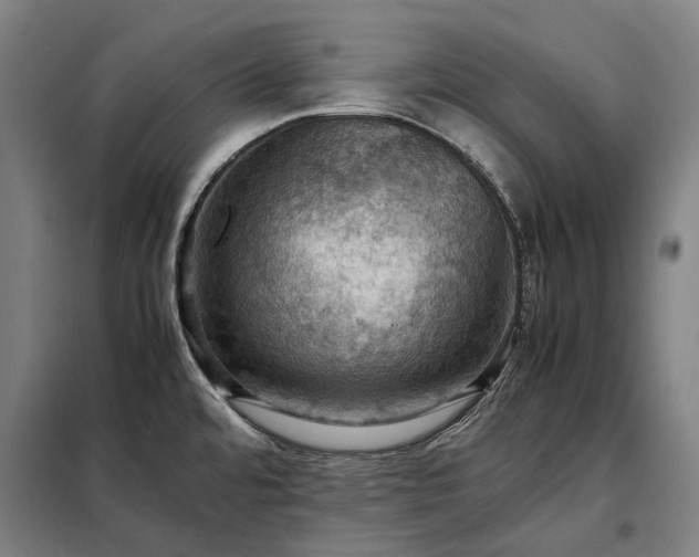 X0000098001480200804021020