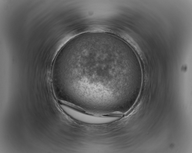 X0000098001481200804021020