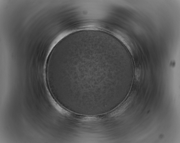 X0000098001482200804021020