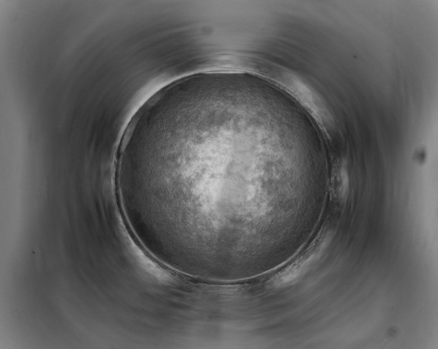 X0000098001484200804021020