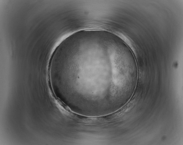 X0000098001485200804021020