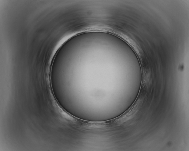 X0000098001486200804021020