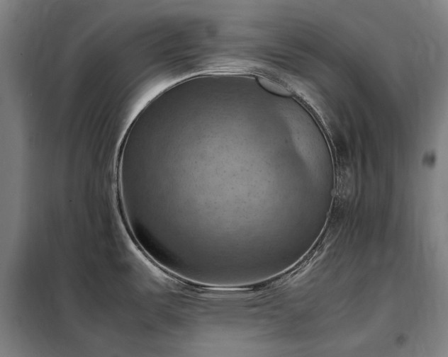 X0000098001487200804021020