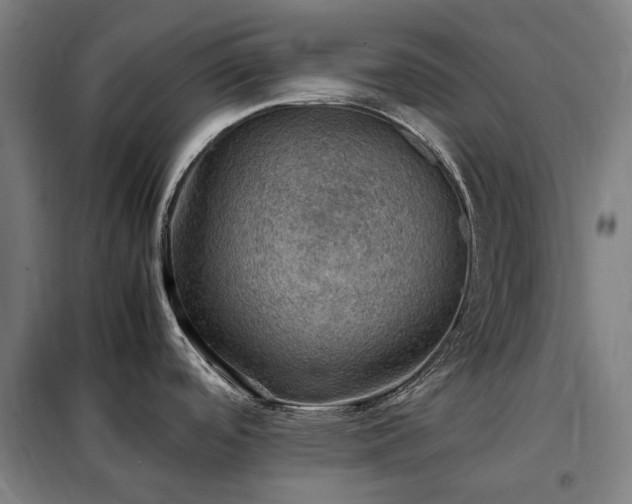X0000098001488200804021020