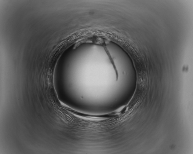 X0000098001490200804021019