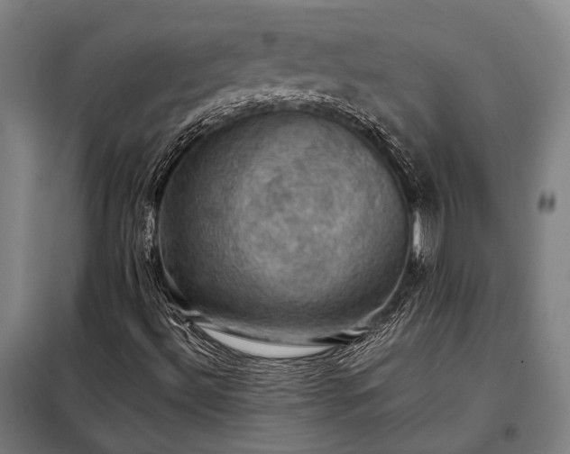 X0000098001492200804021019